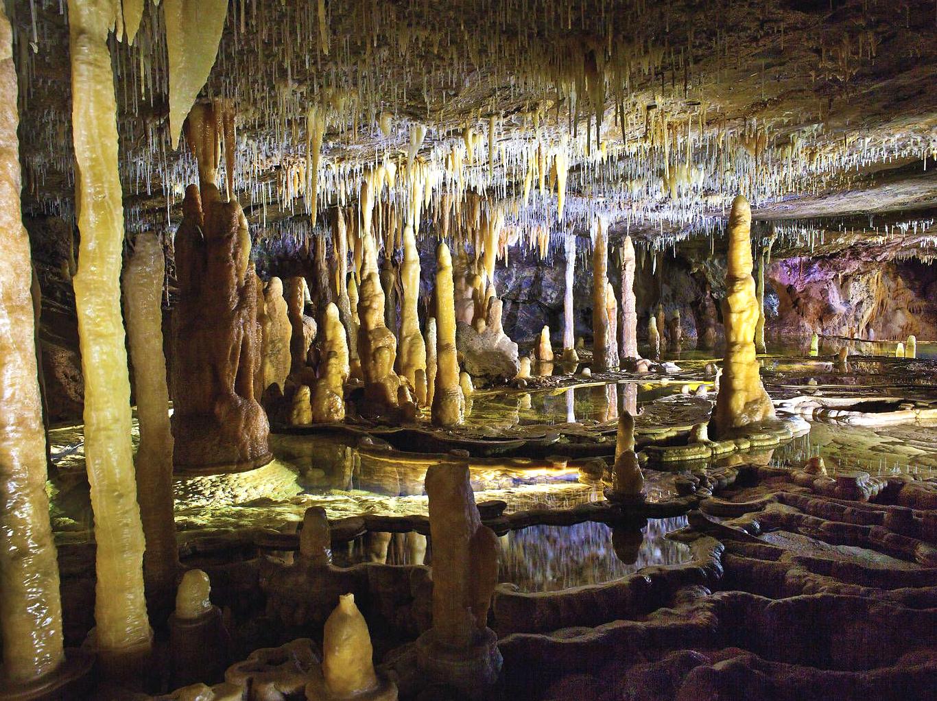 Unearth Excitement in the Buchan Caves: An Underground Journey